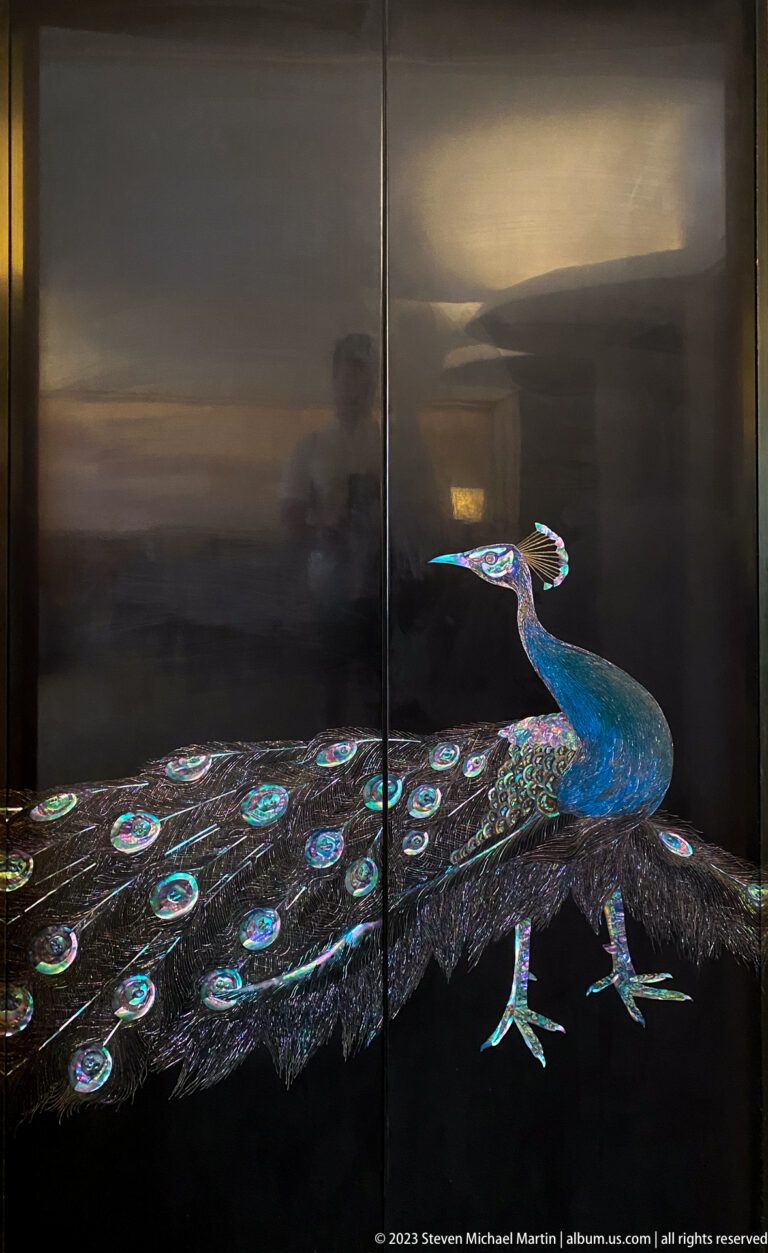 Iridescent peacock with a long spotted tail spread across glossy black vertical panels.
