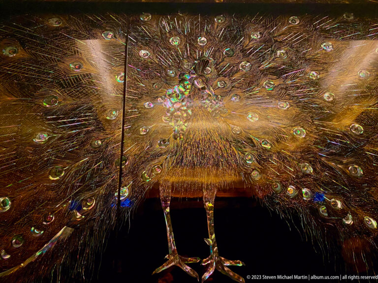 Front-facing peacock centered beneath a dense fan of brown and iridescent eye-patterned feathers.