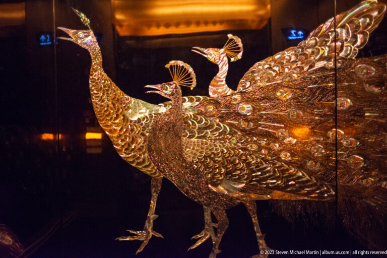 Three luminous peacocks with iridescent patterned feathers against a dark reflective background.