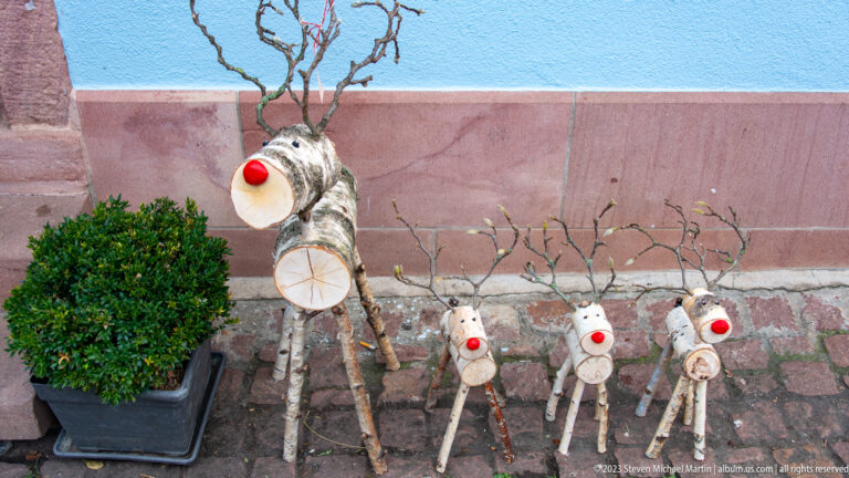 Birch-log reindeer family with twig antlers and red noses beside a clipped evergreen shrub.