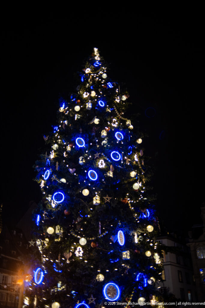 Upper branches of an illuminated Christmas tree with blue ring-shaped ornaments against a black night sky.