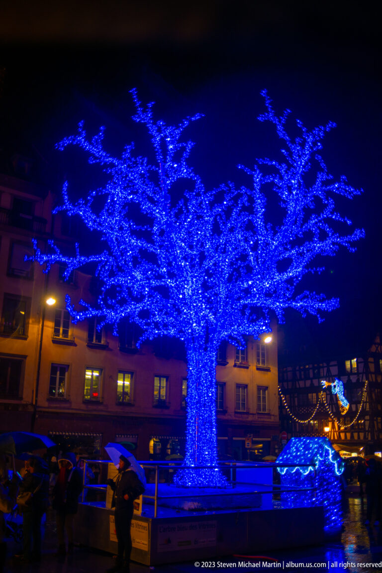 Large leafless tree wrapped in intense blue Christmas lights above umbrellas and low market structures.
