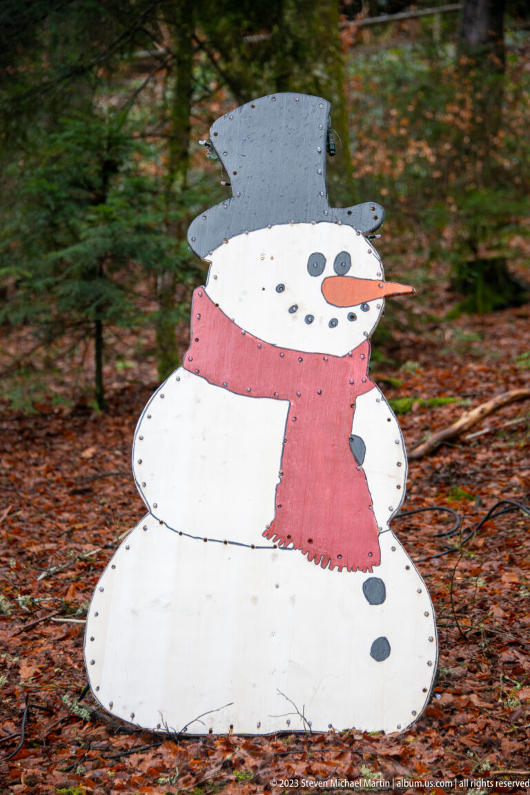 Painted wooden snowman with black hat and red scarf standing on a damp leaf-covered forest floor.