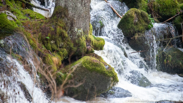 Fast white water cascading between large moss-covered boulders in a narrow Black Forest stream channel.