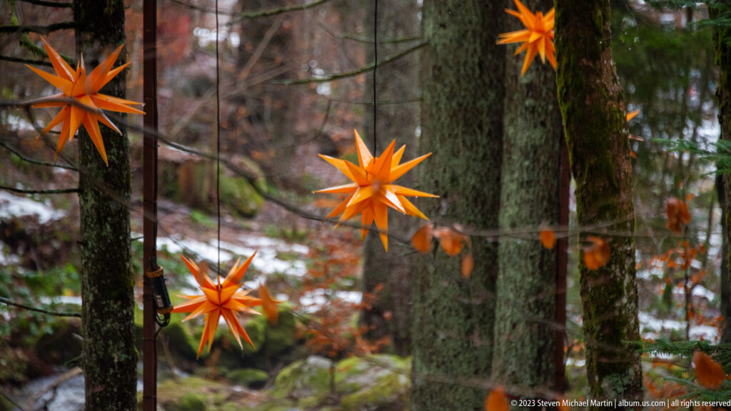 Several orange many-pointed Christmas stars hanging among tall forest trunks with patches of snow behind.