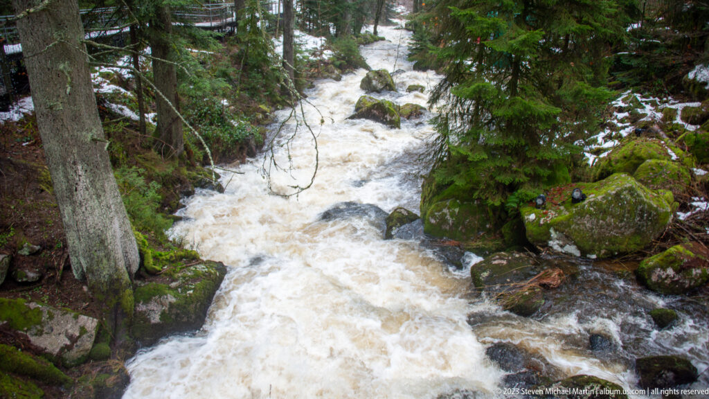 Fast pale stream rushing downhill between conifers and mossy boulders, with small snow patches along the banks.