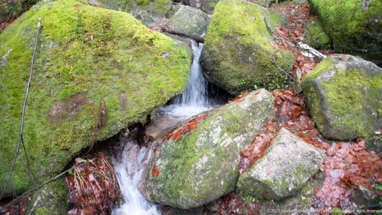 Small forest cascade flowing between large moss-covered boulders and wet fallen leaves.