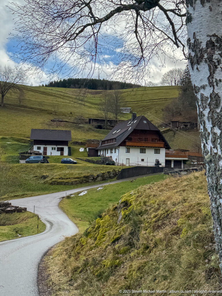 White farmhouse and outbuildings beside a curving rural road, framed by pasture and a birch tree.