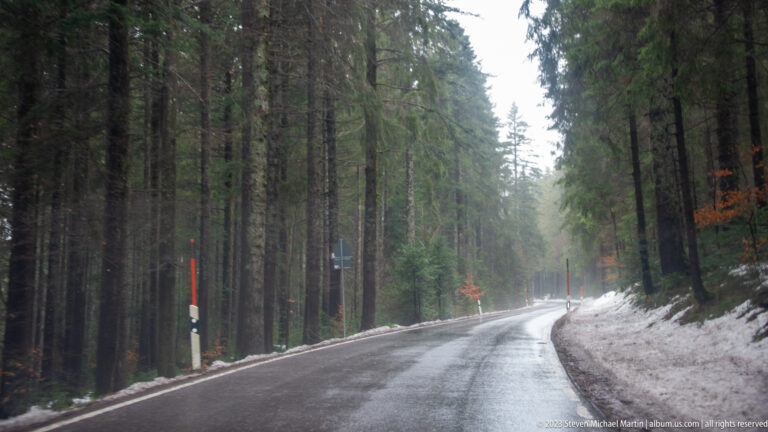 Wet road curving through tall conifer forest with snow along both shoulders and roadside markers.