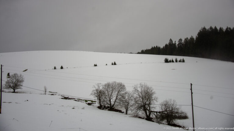 Snow-covered hillside with bare trees, scattered small evergreens, utility lines, and dark forest at the crest.