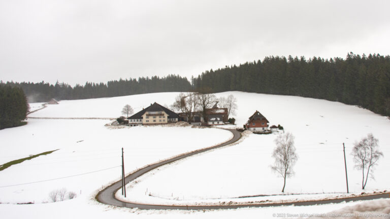 Curving road crosses a snowy field toward farm buildings backed by dark evergreen forest.