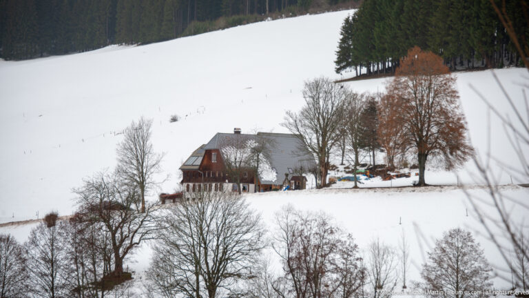 Rural house on a snowy hillside below dense evergreen woodland and surrounded by leafless trees.