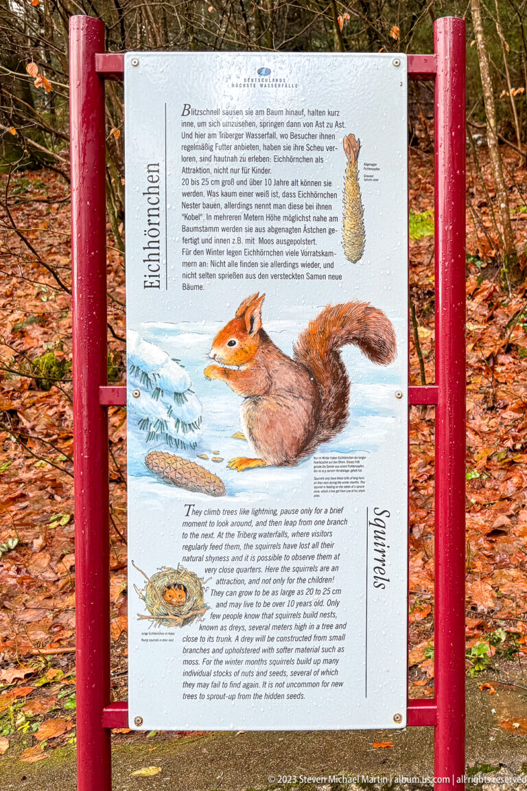 German wildlife panel with a large red squirrel illustration mounted in a red frame in the forest.