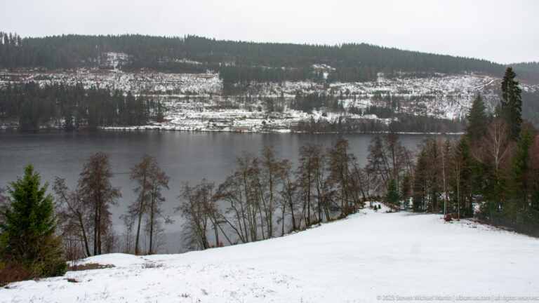 Winter lake below snow-streaked forested hills, with bare shoreline trees and a snowy slope in the foreground.