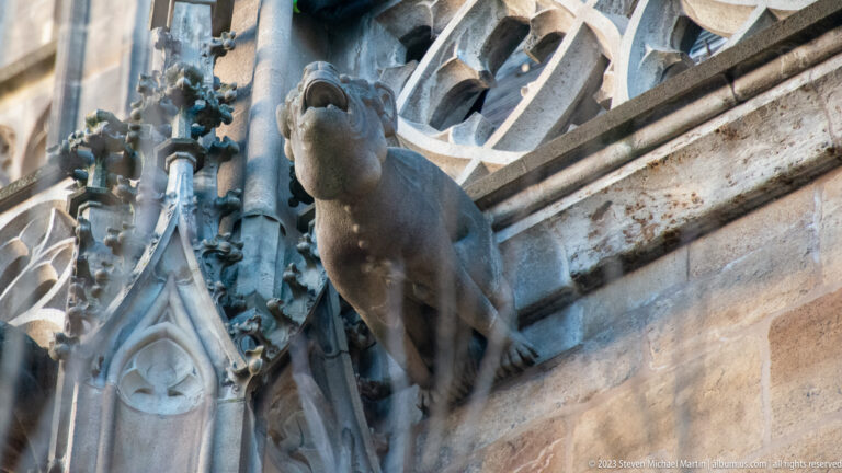 Long projecting stone grotesque viewed from below beneath Gothic openwork tracery and beside crocketed pinnacles.