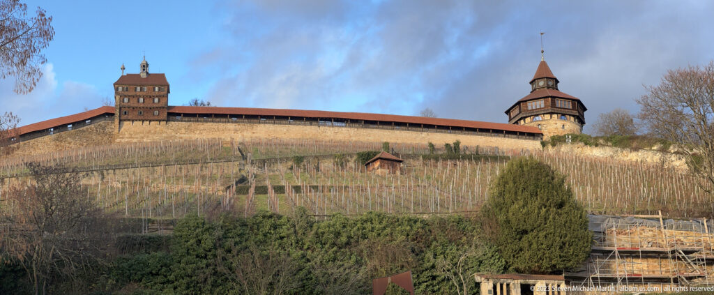 Wide view of Esslinger Burg towers and covered wall above a steep vineyard with orderly vine rows.