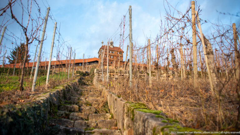 Steep stone steps climbing through bare vineyard rows toward Esslinger Burg, with vine posts and mossy retaining walls.