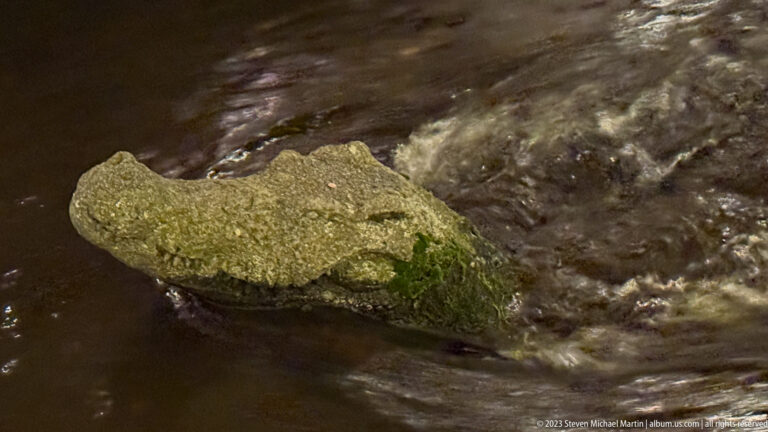 Small weathered stone animal sculpture partly submerged in flowing water, with moss along one side.