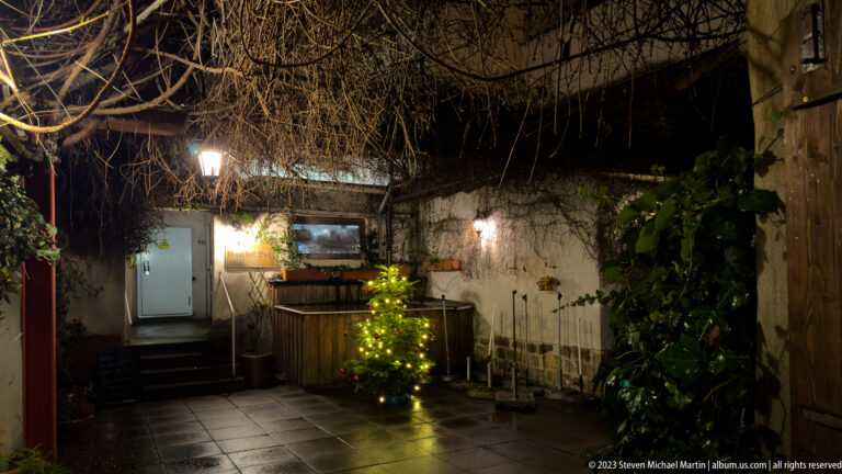 Small lit Christmas tree in a wet enclosed courtyard with weathered walls, bare vines, doors, and utility fixtures.