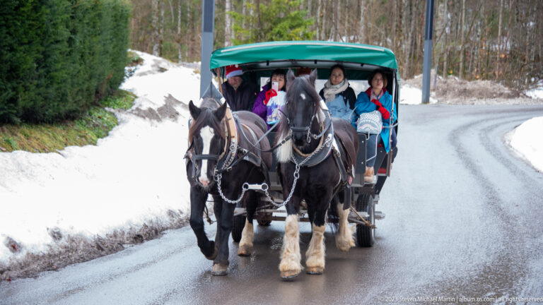 Two dark draft horses pulling a green-canopied passenger carriage along a wet road edged with snow.