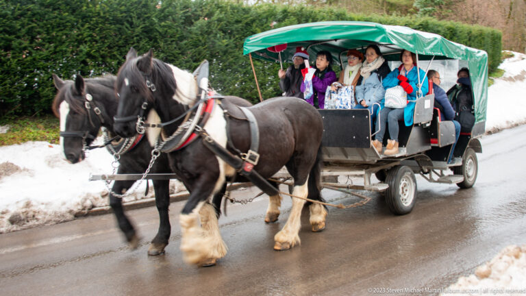 Two dark draft horses in harness pulling a covered passenger carriage beside melting snowbanks.