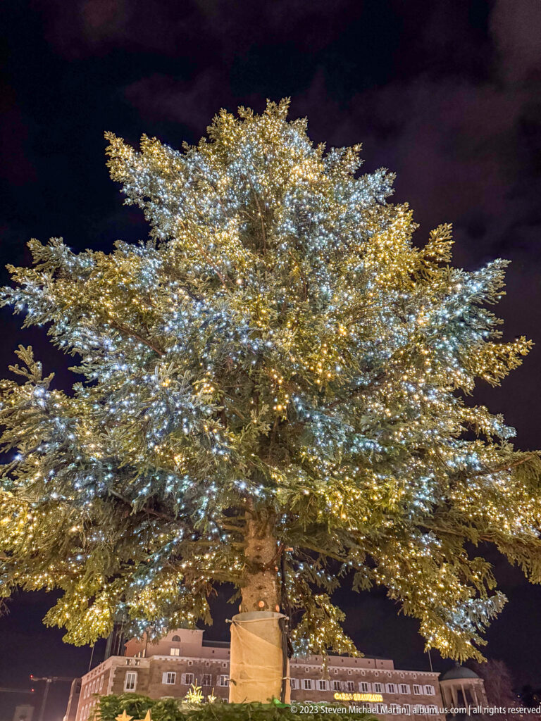 Large evergreen Christmas tree densely covered in warm white lights against a dark Stuttgart night sky.