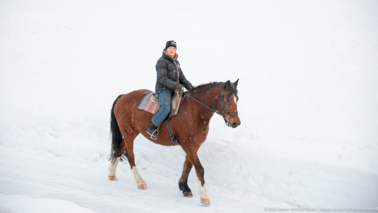 Bundled rider on a bay horse walking through deep snow against a nearly white background.