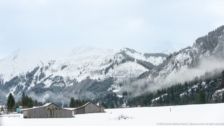 Two timber farm buildings in a snowy field below forested Alpine mountains partly veiled by cloud.