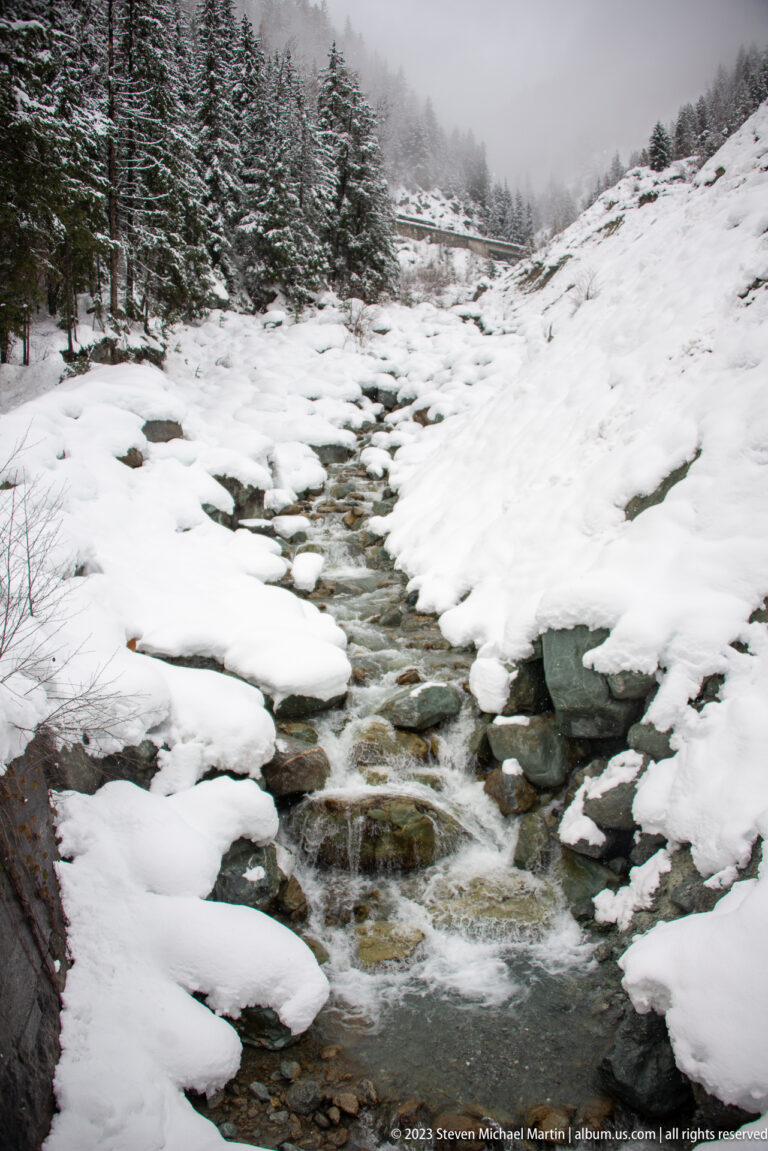 Mountain stream cascading among dark rocks through deep snow below conifers and low cloud.