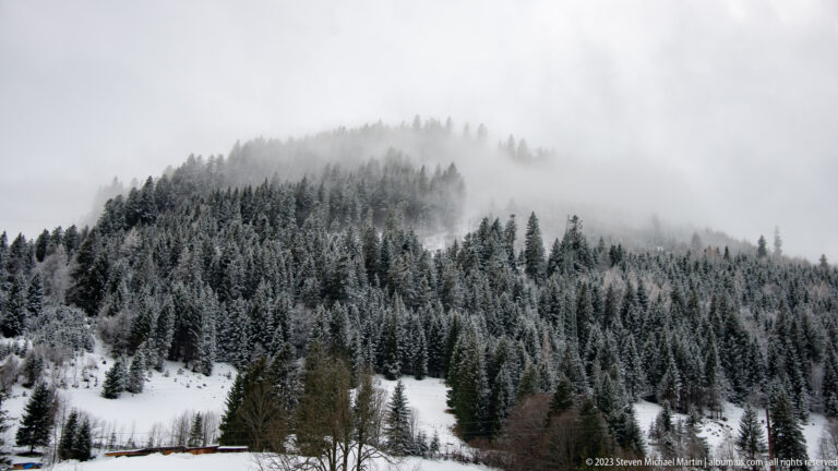 Snow-coated conifer forest on a rounded ridge disappearing into pale fog.