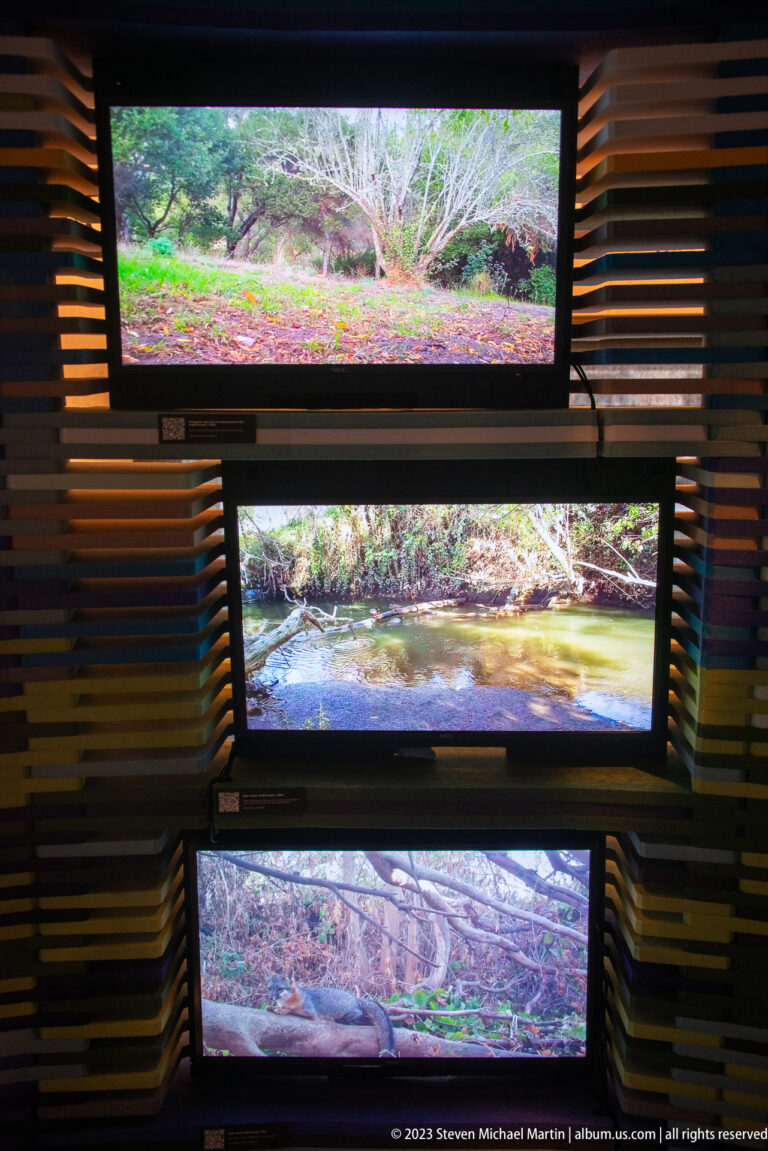 Three stacked video screens showing forest, stream, and woodland-floor scenes within a multicolored slat wall.