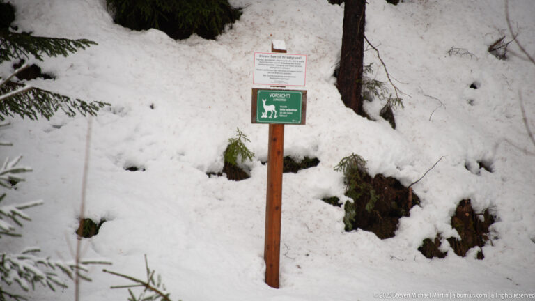 Wooden signpost in deep snow with a green deer-symbol panel and a smaller notice above it.