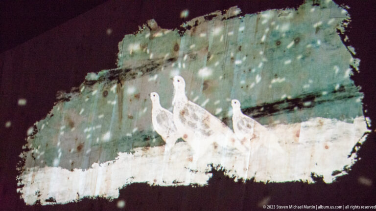 Three white grouse-like birds in a projected snowy-rock scene with light flecks suggesting falling snow.