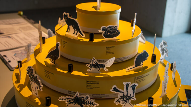 Tiered yellow natural-history display with illustrated mammals, birds, insects, plants, and small habitat labels.