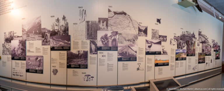 Angled view of a long museum timeline with archival photographs, dates, text panels, and documentary graphics.