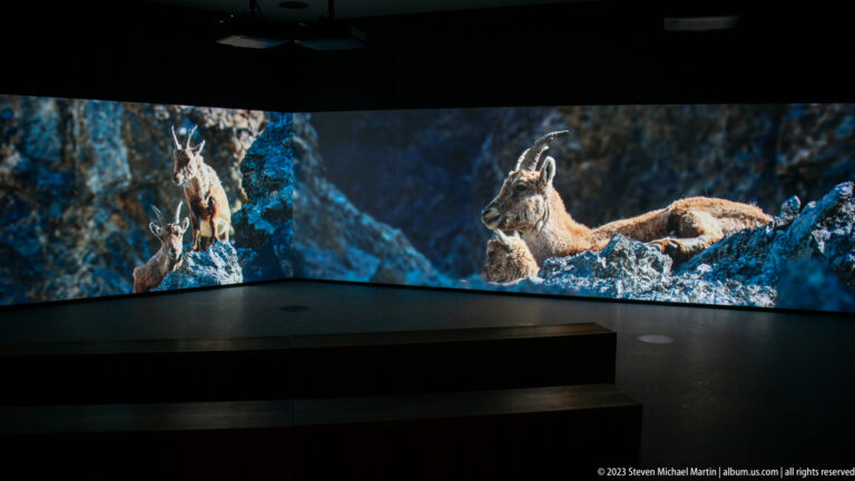 Panoramic screen showing several Alpine ibex among sunlit rocks, including a male with massive curved horns.