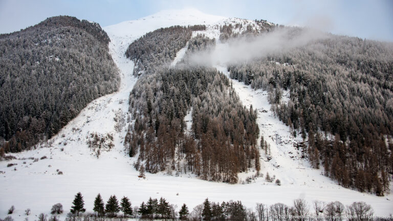 Snow-covered alpine mountainside with dense conifer forest, broad treeless corridors, and low drifting cloud.