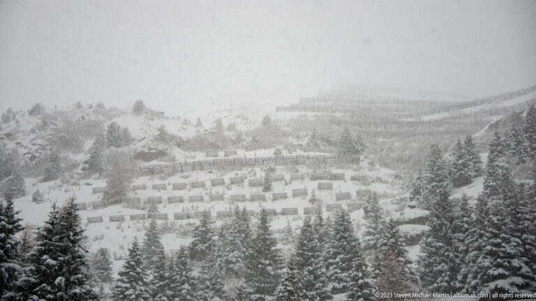 Snow-covered hillside buildings among dark conifers during heavy snowfall and low visibility.