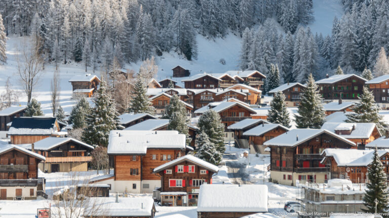 Cluster of dark timber chalets and houses on a snowy hillside among frost-covered evergreen trees.