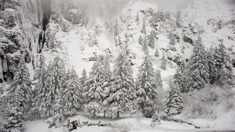 Snow-laden evergreen trees clustered below a steep rocky cliff covered with frost and snow.