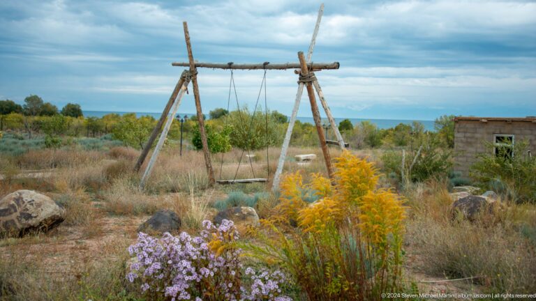 Wooden swing frame in a lakeside field.