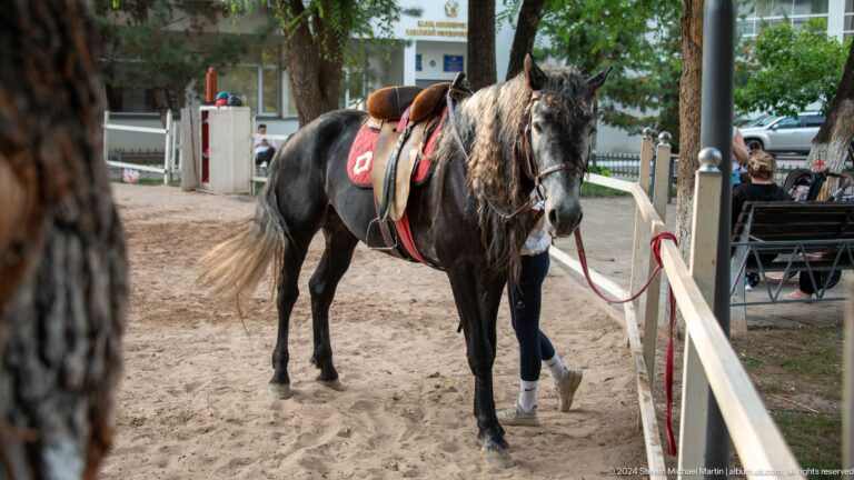 Saddled pony standing beside its handler in an Almaty city park enclosure with a fence nearby.