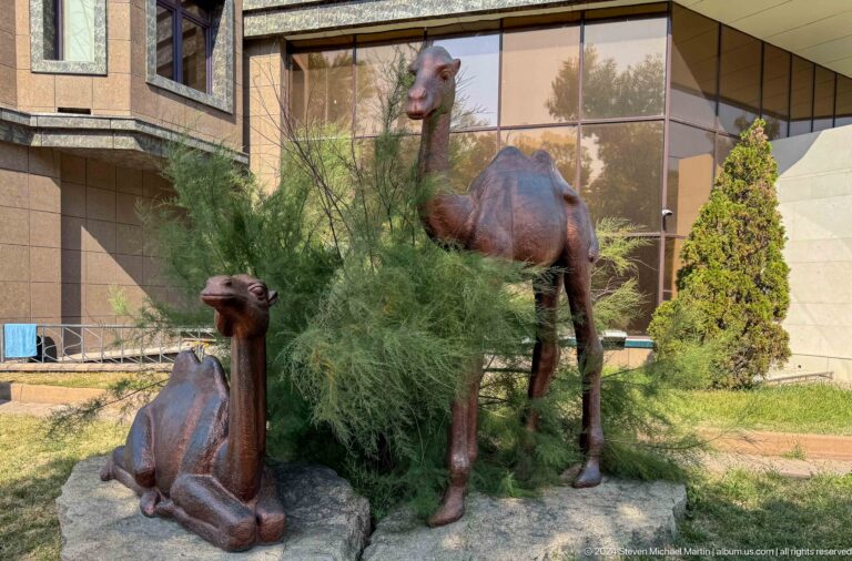 Bronze sculptures of several camels installed on a paved plaza beside a landscaped modern building.