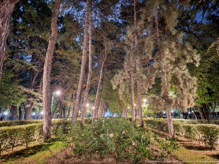 Nighttime view of a tree-lined park path in Almaty, Kazakhstan, illuminated by artificial lighting.