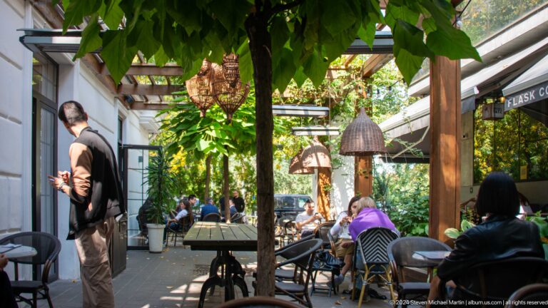 Shaded garden cafe terrace in Almaty with tables set under dense green vines and hanging light fixtures.