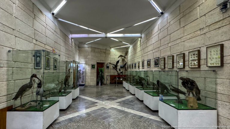 Wide view of a stone-walled archaeology gallery interior with glass display cases and carved stone artifacts at the Central State Museum in Almaty.