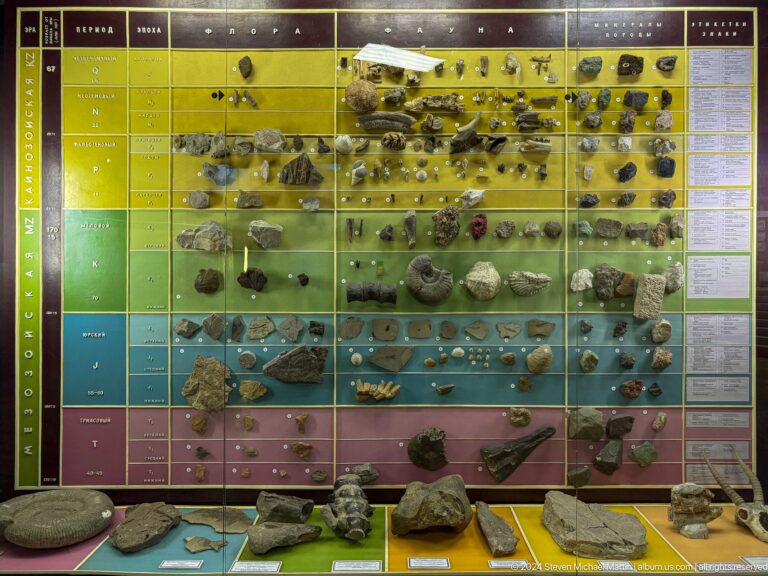 Medium view of a color-coded fossil chronology panel with labeled specimens in the Central State Museum in Almaty, Kazakhstan.