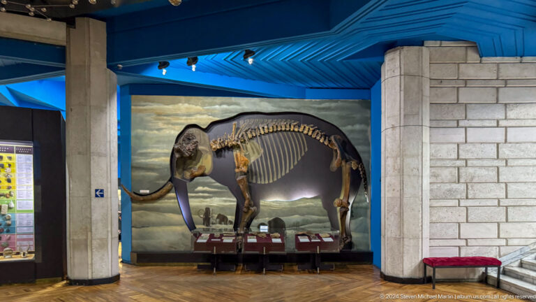 Medium view of a prehistoric proboscidean skeleton mounted in a blue-lit display at the Central State Museum in Almaty, Kazakhstan.