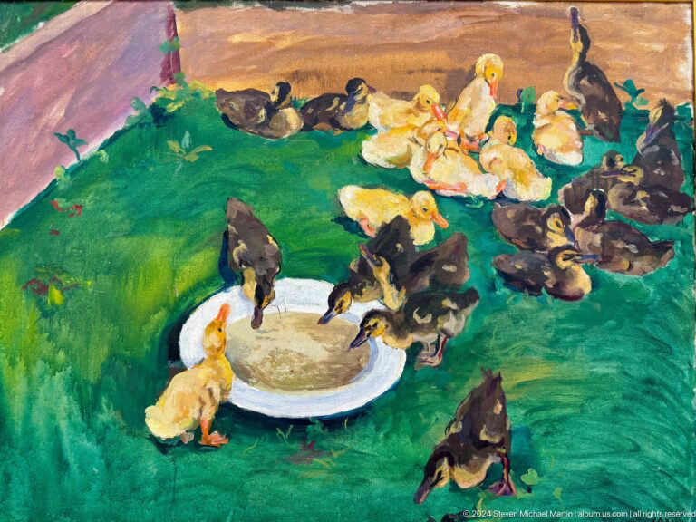 Dogs gathered around central dish.