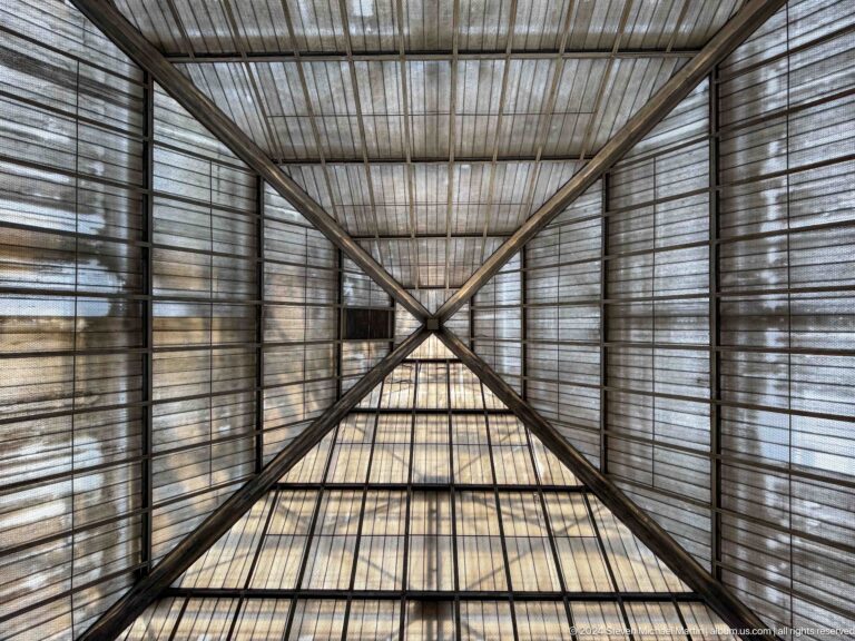 View upward through woven lattice structure.